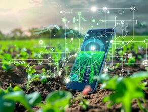 Smart Irrigation System